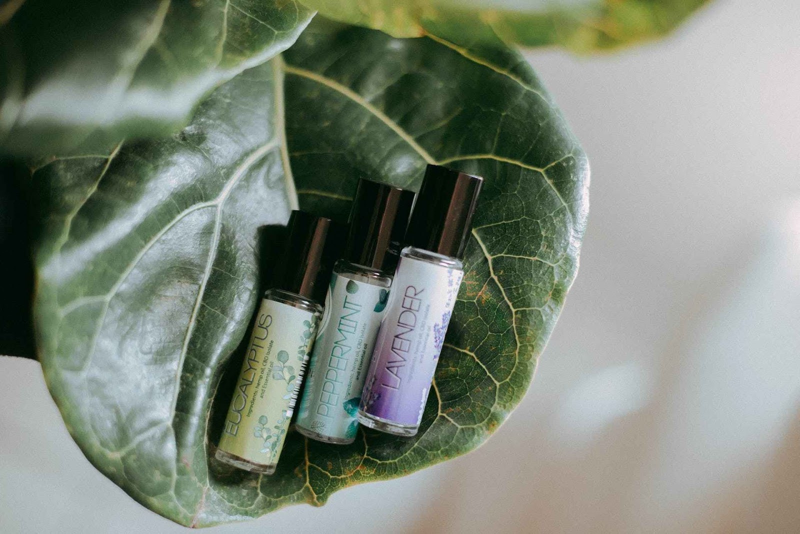 Lavender essential oil for skin and hair care 